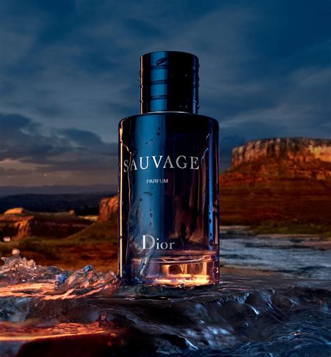 what's in dior sauvage|dior sauvage for men uk.